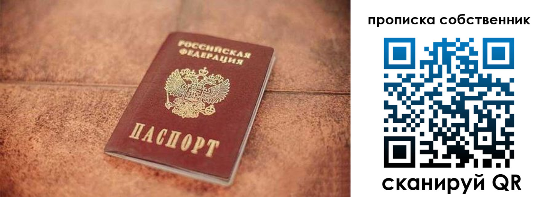где прописаться в Опочке